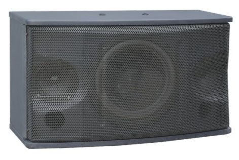 RS450 KTV speaker