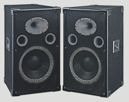 Passive speaker MJ-10 passive speakers